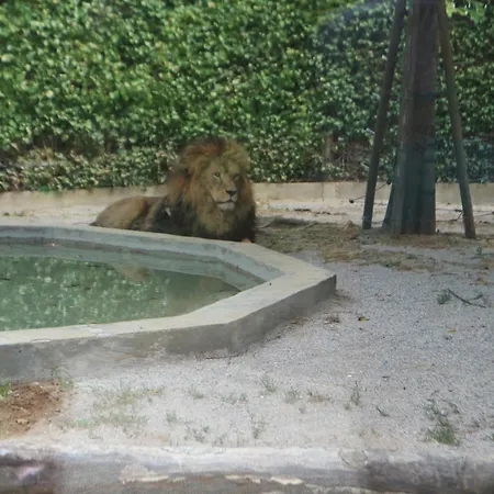 Bianca Appartement *