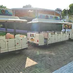 Bianca Lignano Sabbiadoro